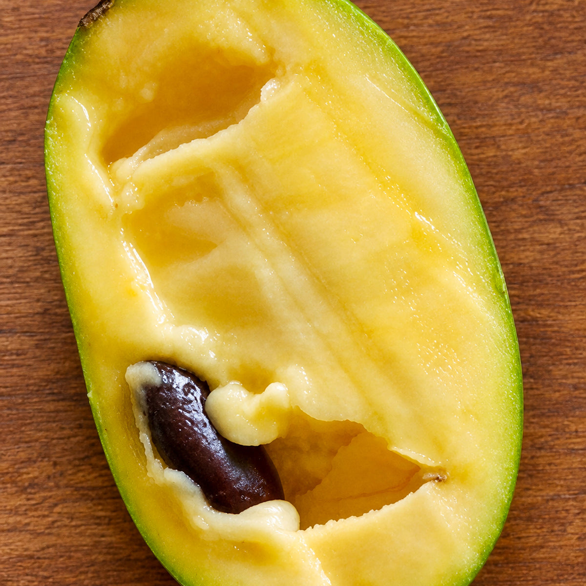Pawpaw 'Maria's Joy'