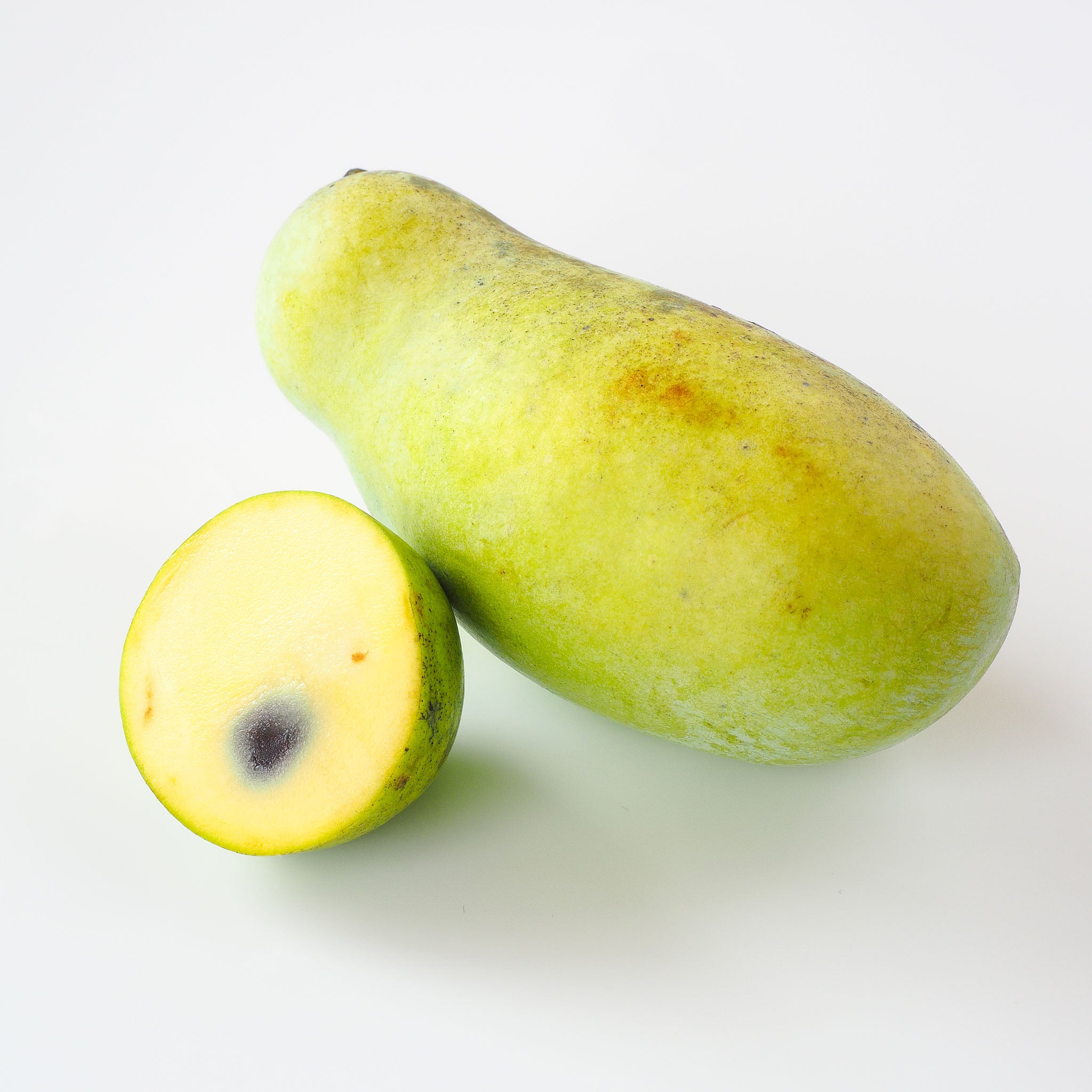 Pawpaw 'Rebecca's Gold'