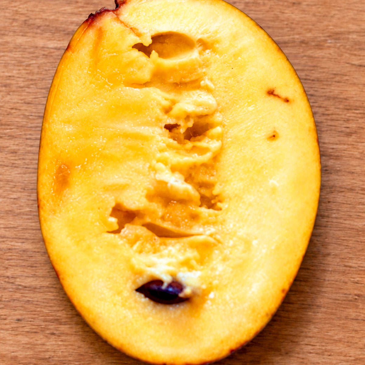 Pawpaw 'Susquehanna'