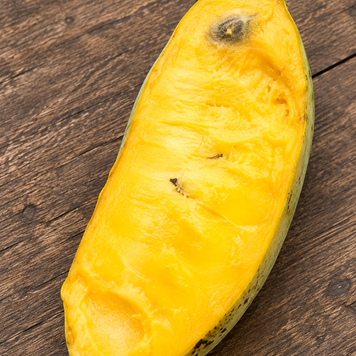 Pawpaw 'Tropical Treat'