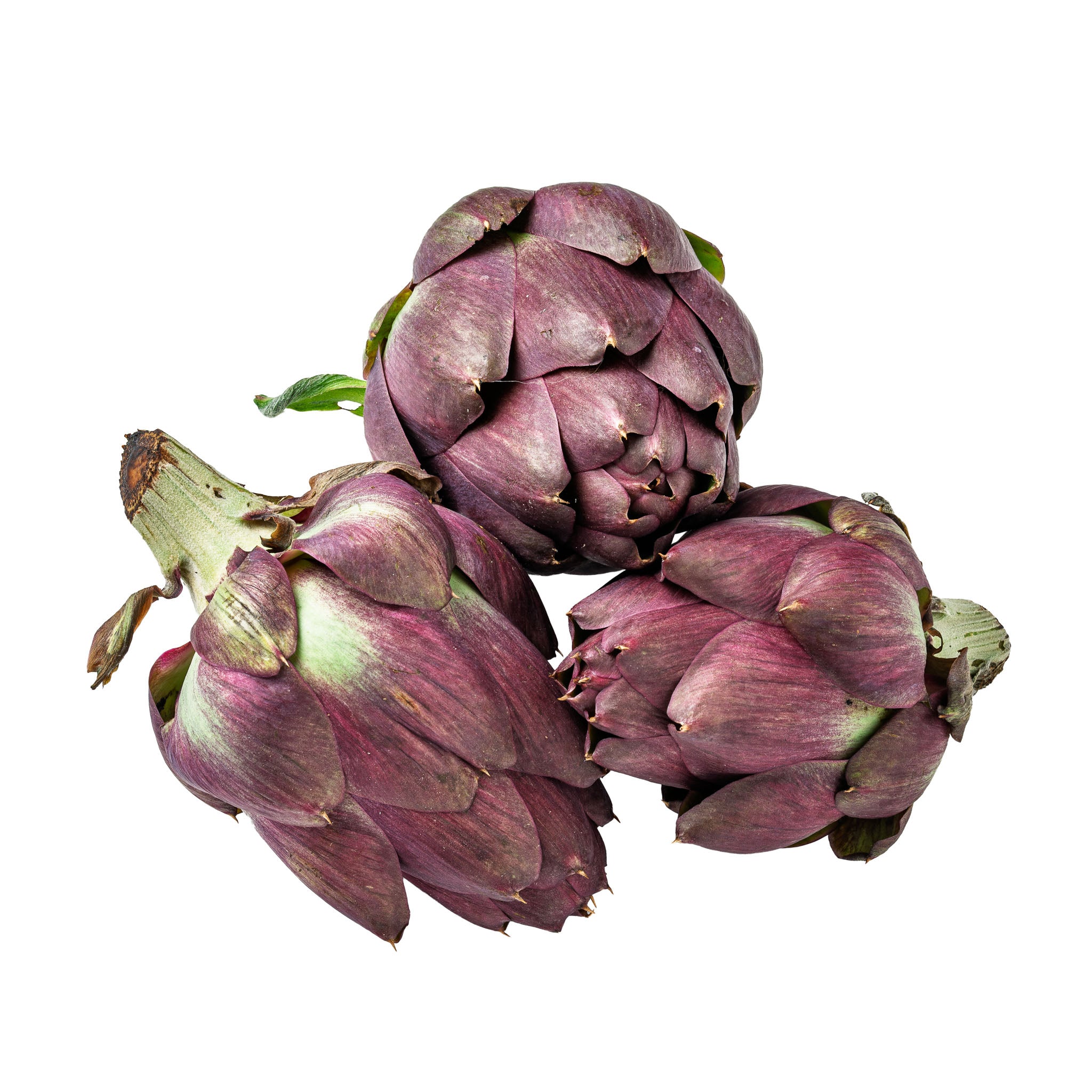 Artischocke 'Violet de Provence'