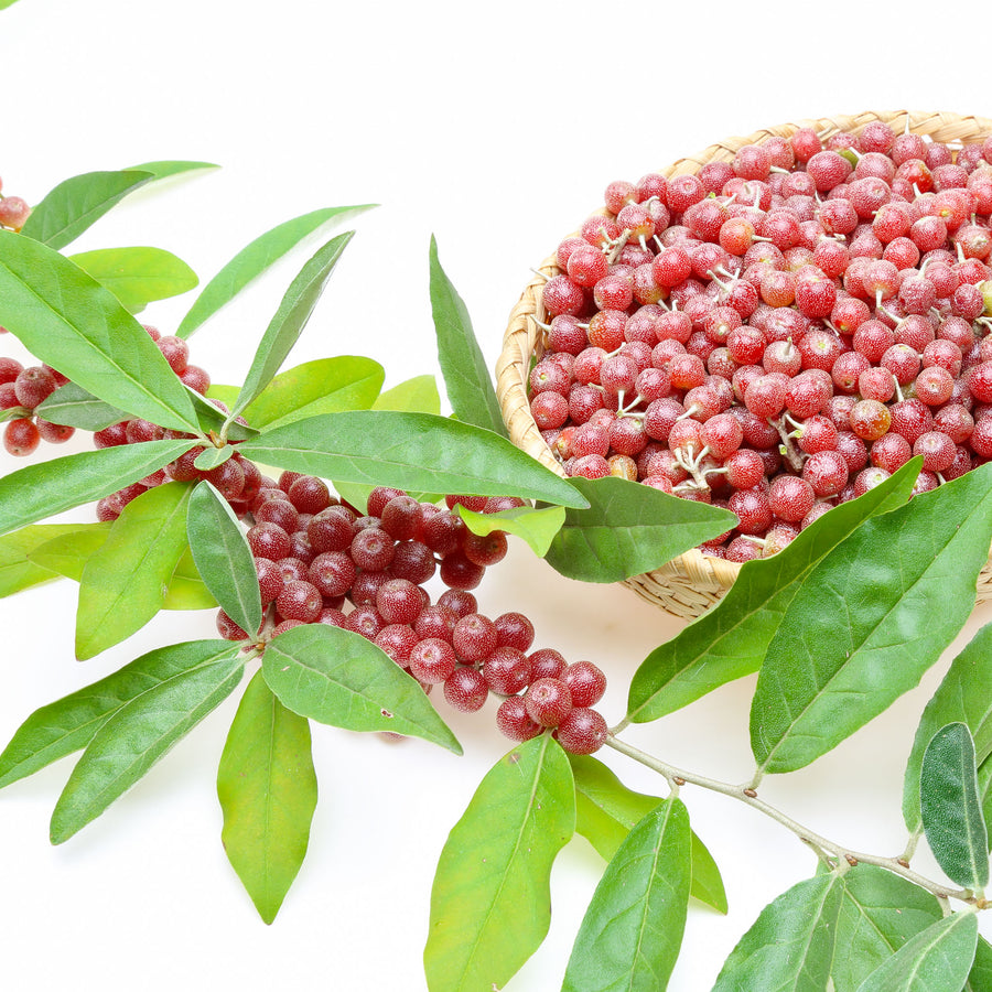 Rote Sorte