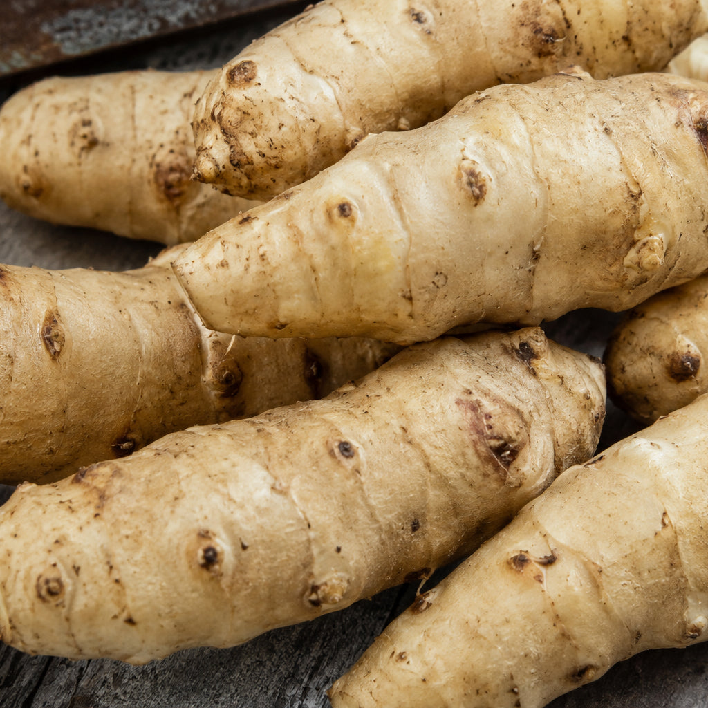 Topinambur 'Chipolata'