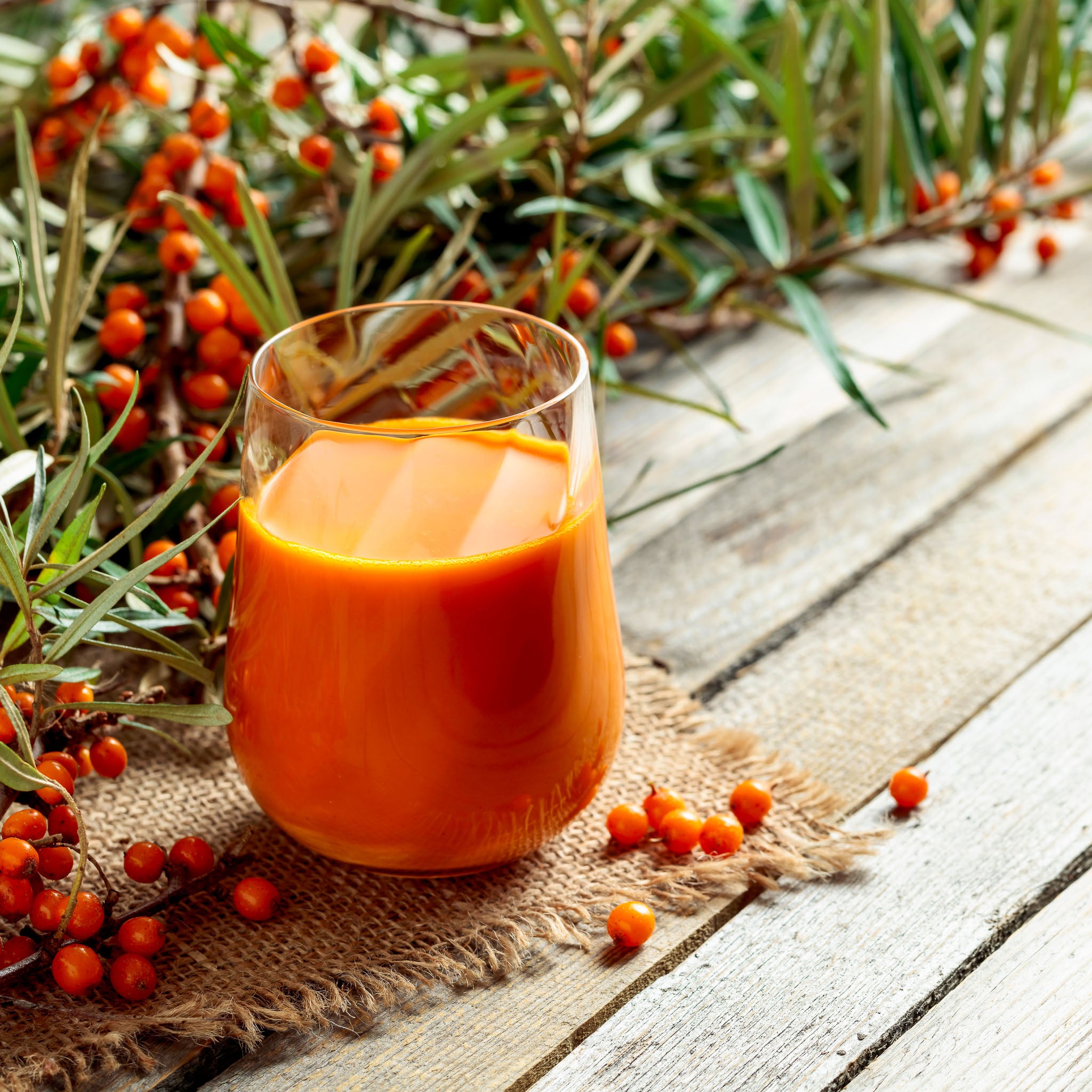 Sanddorn 'Orange Energy'