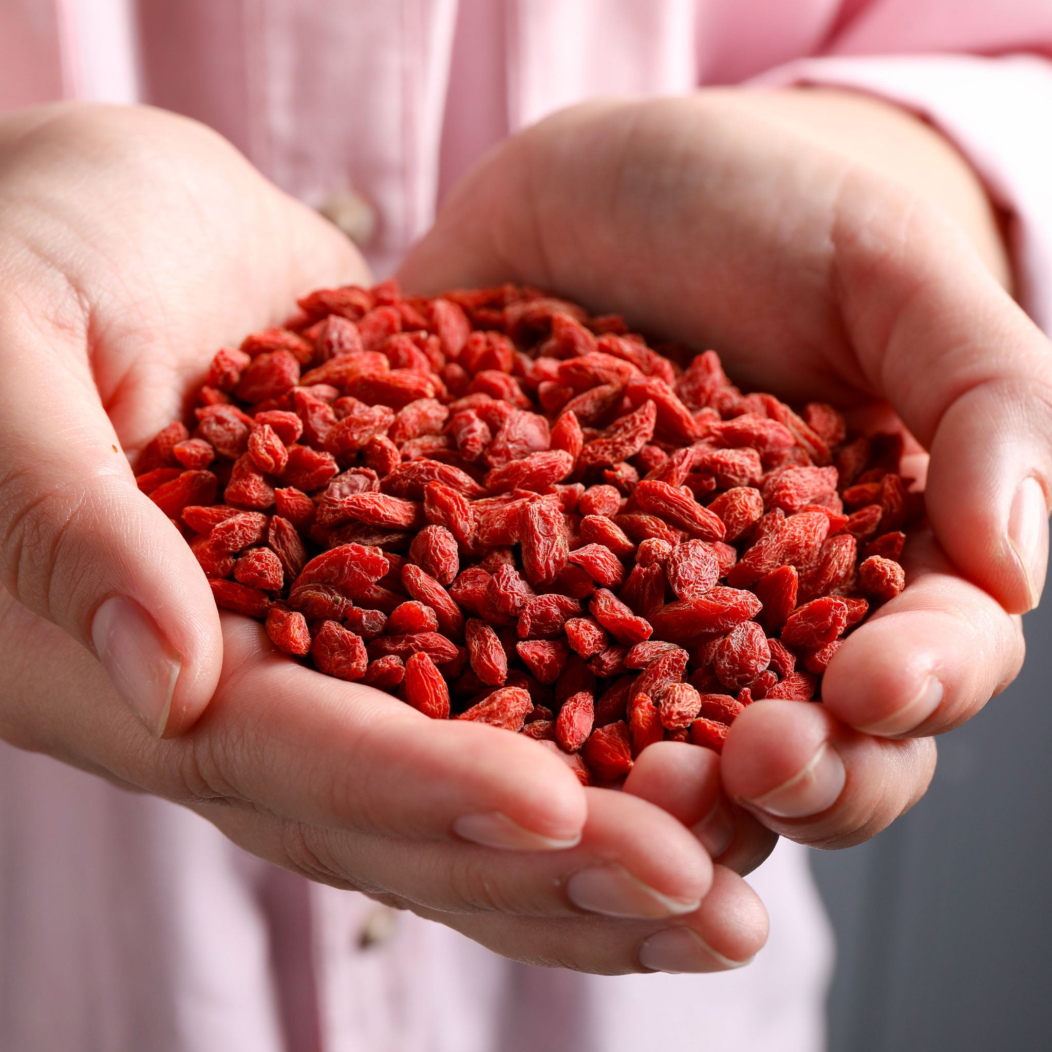 Gojibeere 'Big Lifeberry'