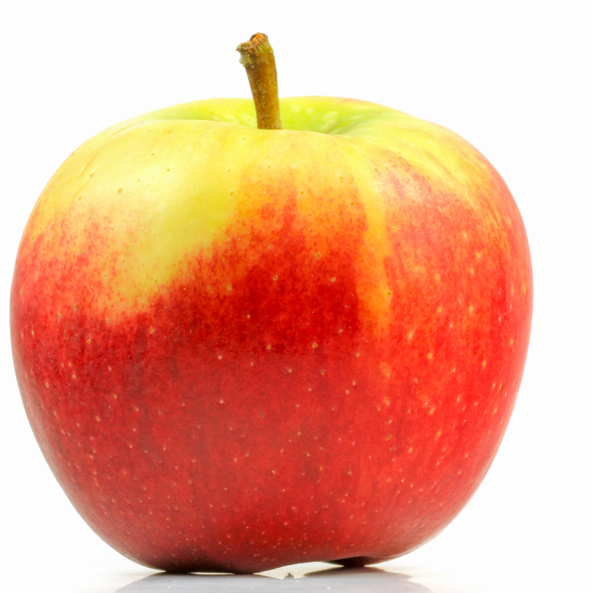 Apfel 'Elstar' - Buschbaum