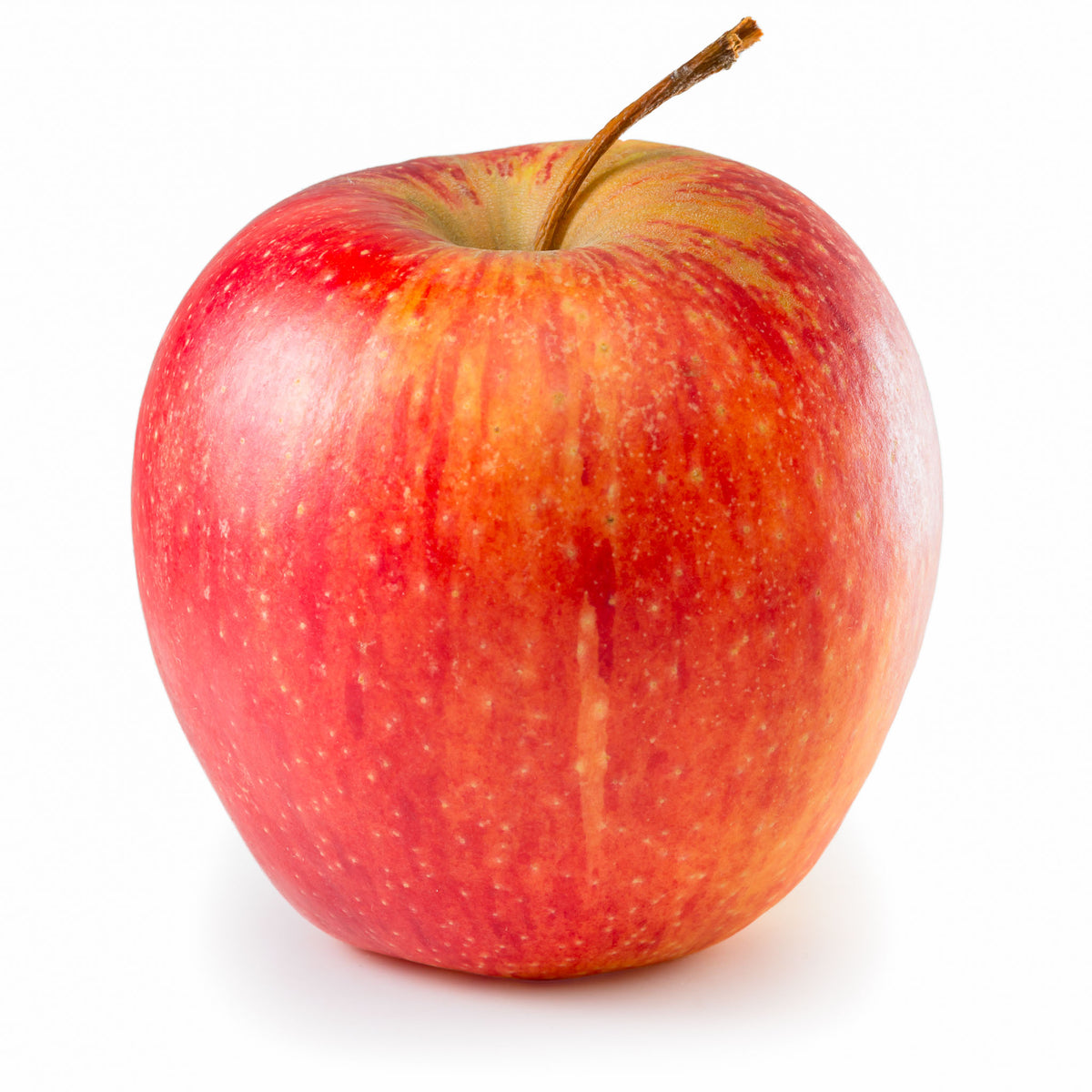 Apfel 'Evelina' - Buschbaum