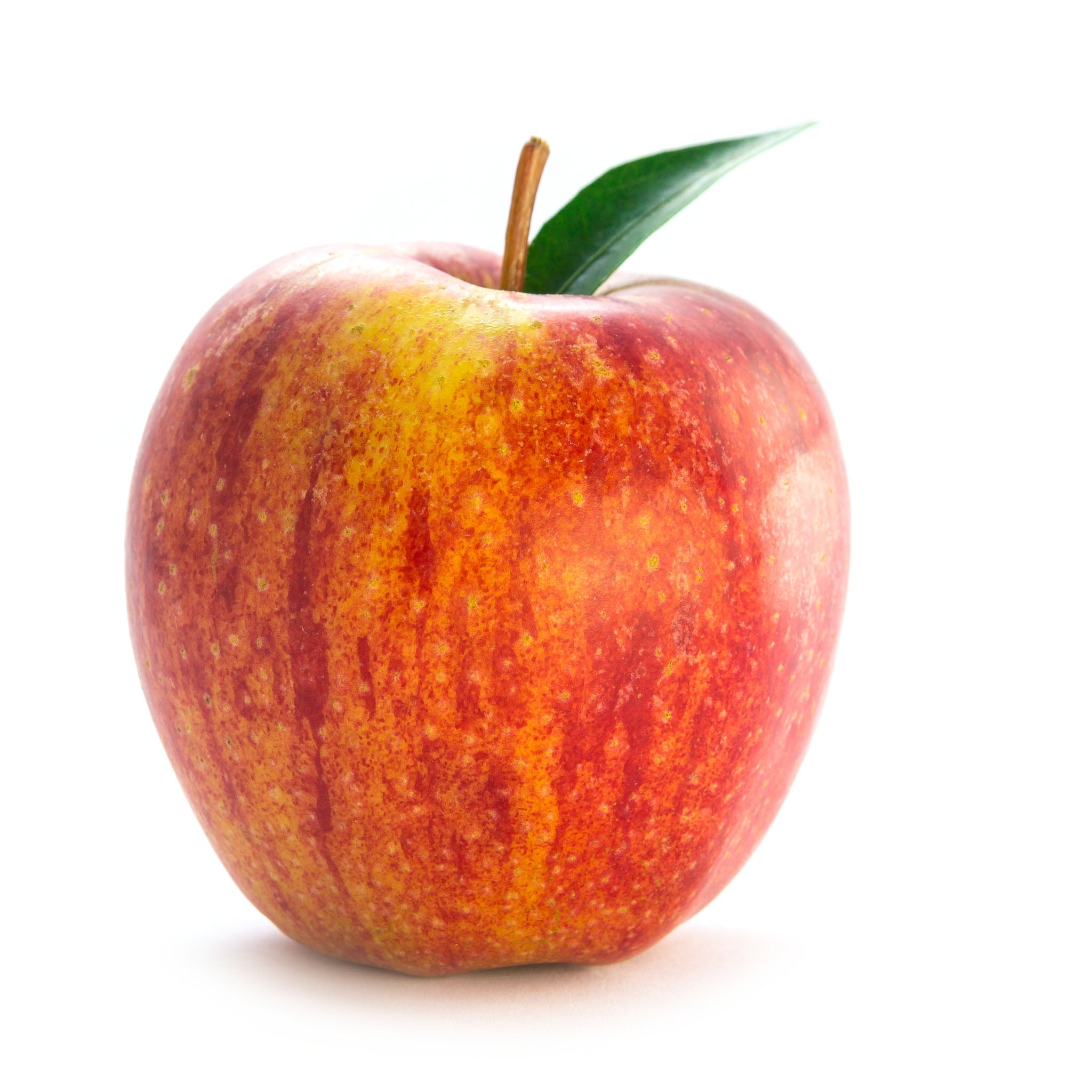 Apfel 'Gala' - Buschbaum