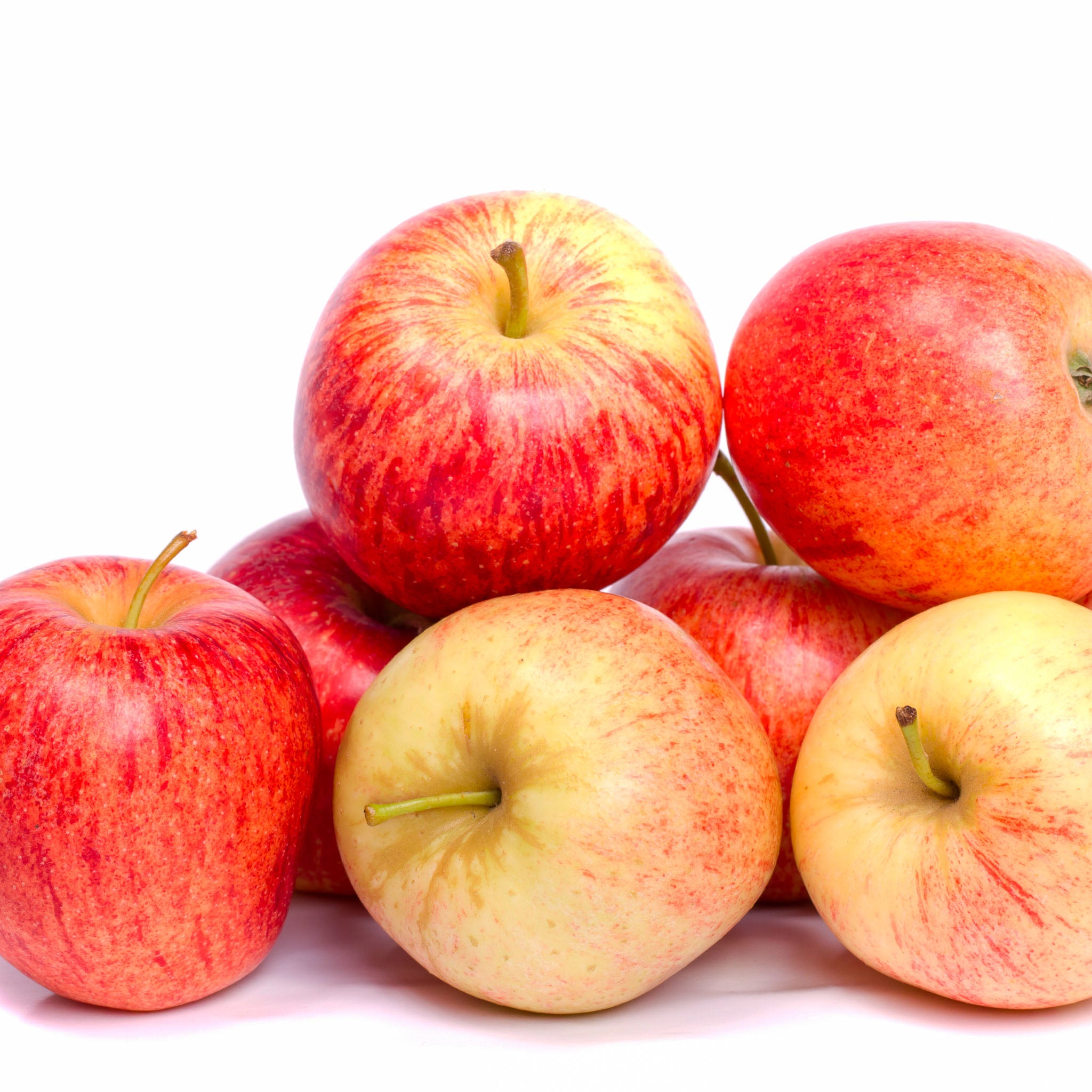 Apfel 'Gala' - Buschbaum