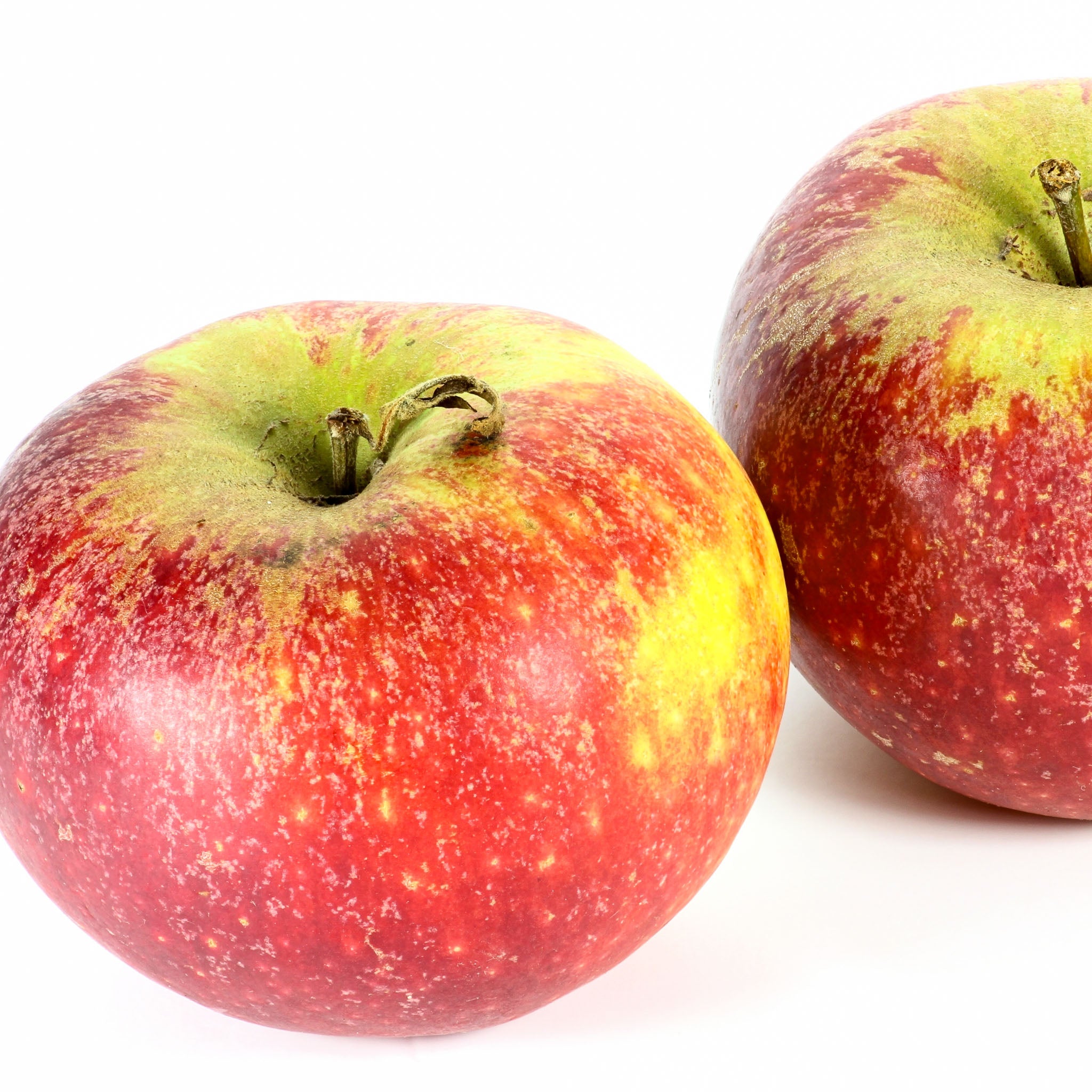 Apfel 'Ingrid Marie' - Buschbaum