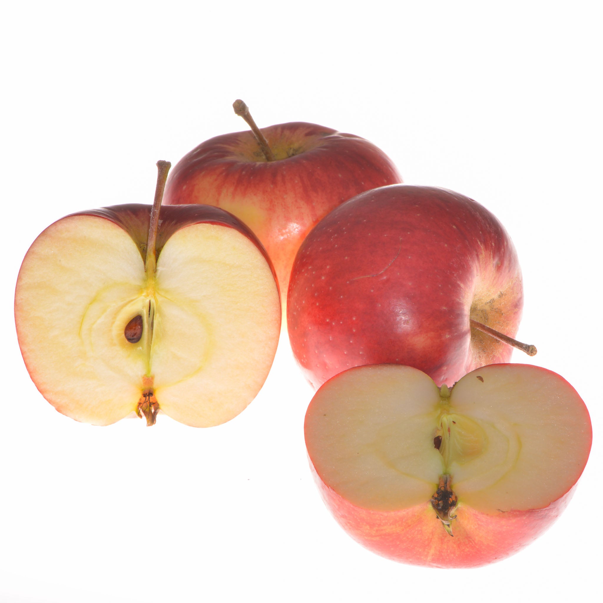 Apfel 'Santana' - Buschbaum
