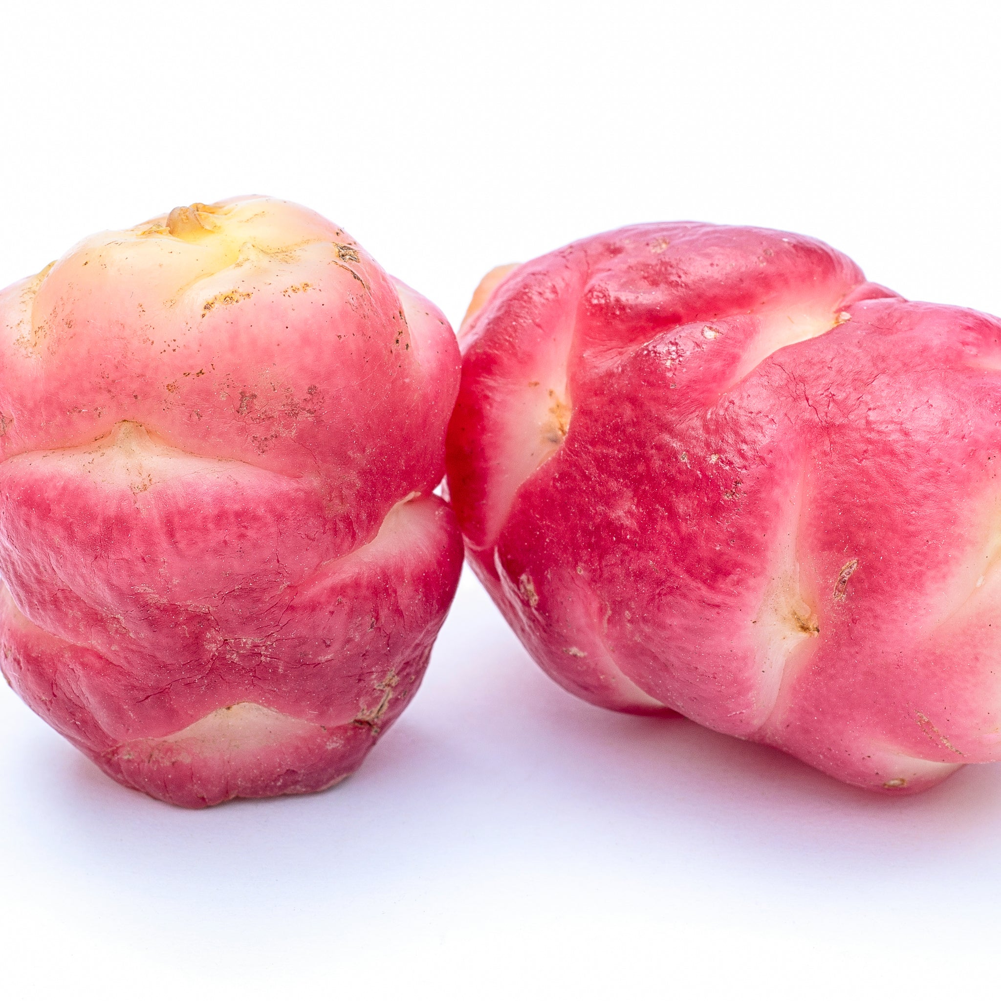 Oca 'Bubble Gum'