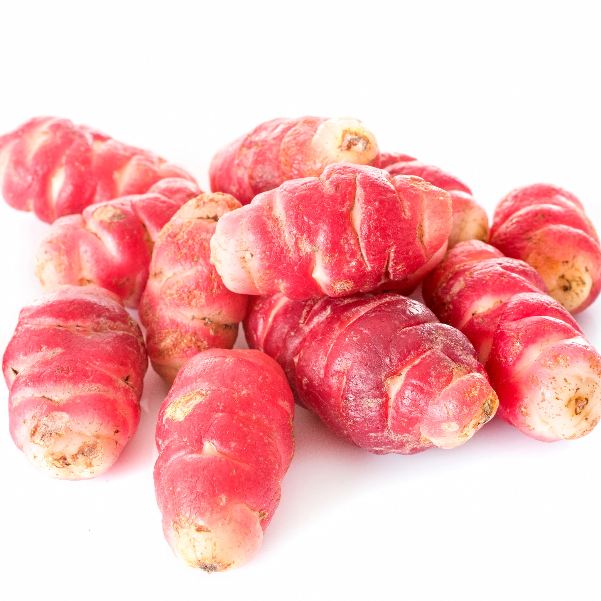Oca 'Bubble Gum'