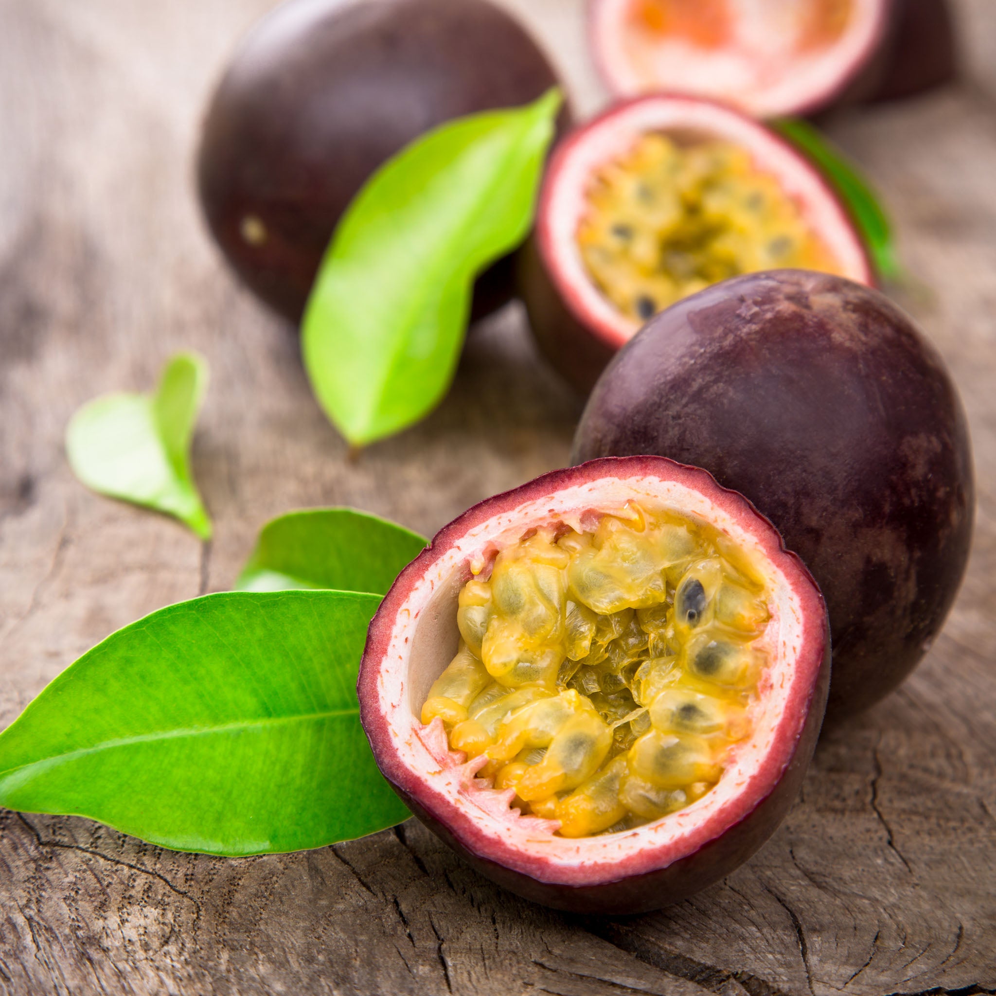 Maracuja 'Suntropics®'