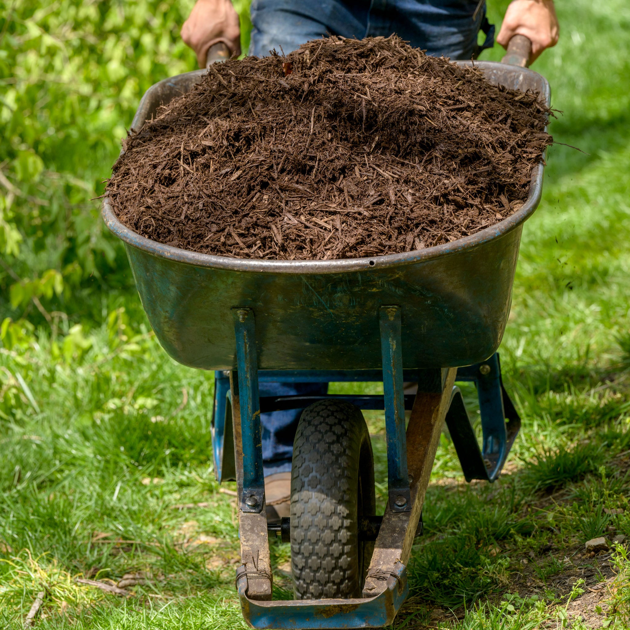 bionero Bio-Hege- & Pflege Mulch Bodenschutzengel