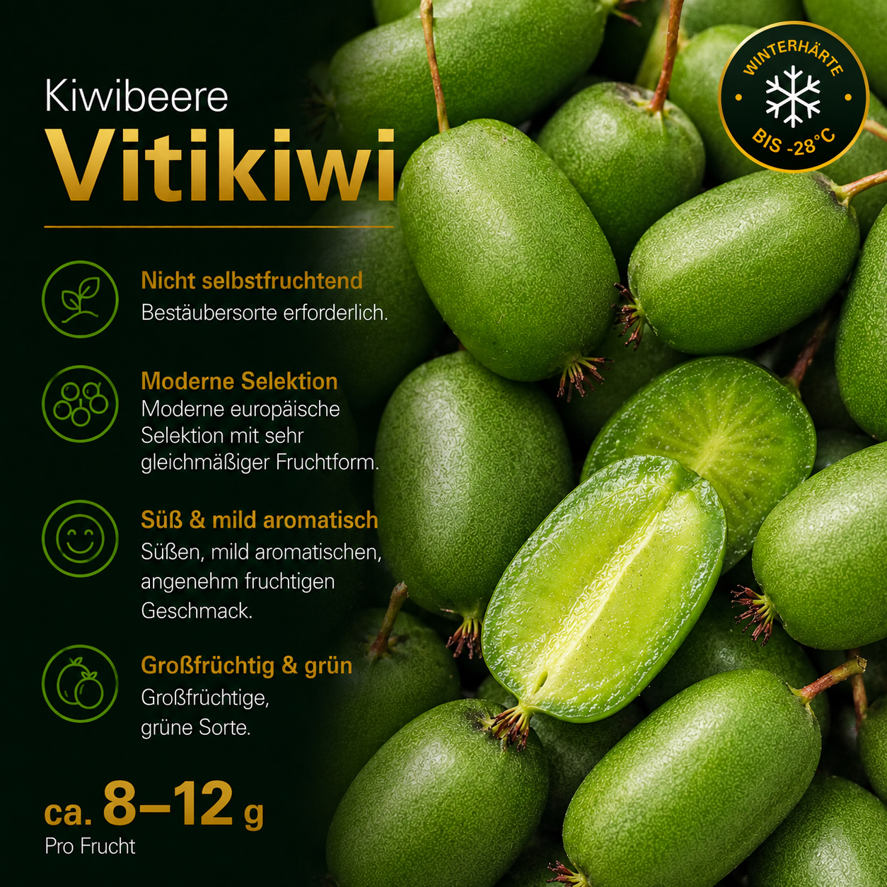 Kiwibeere 'Vitikiwi®'