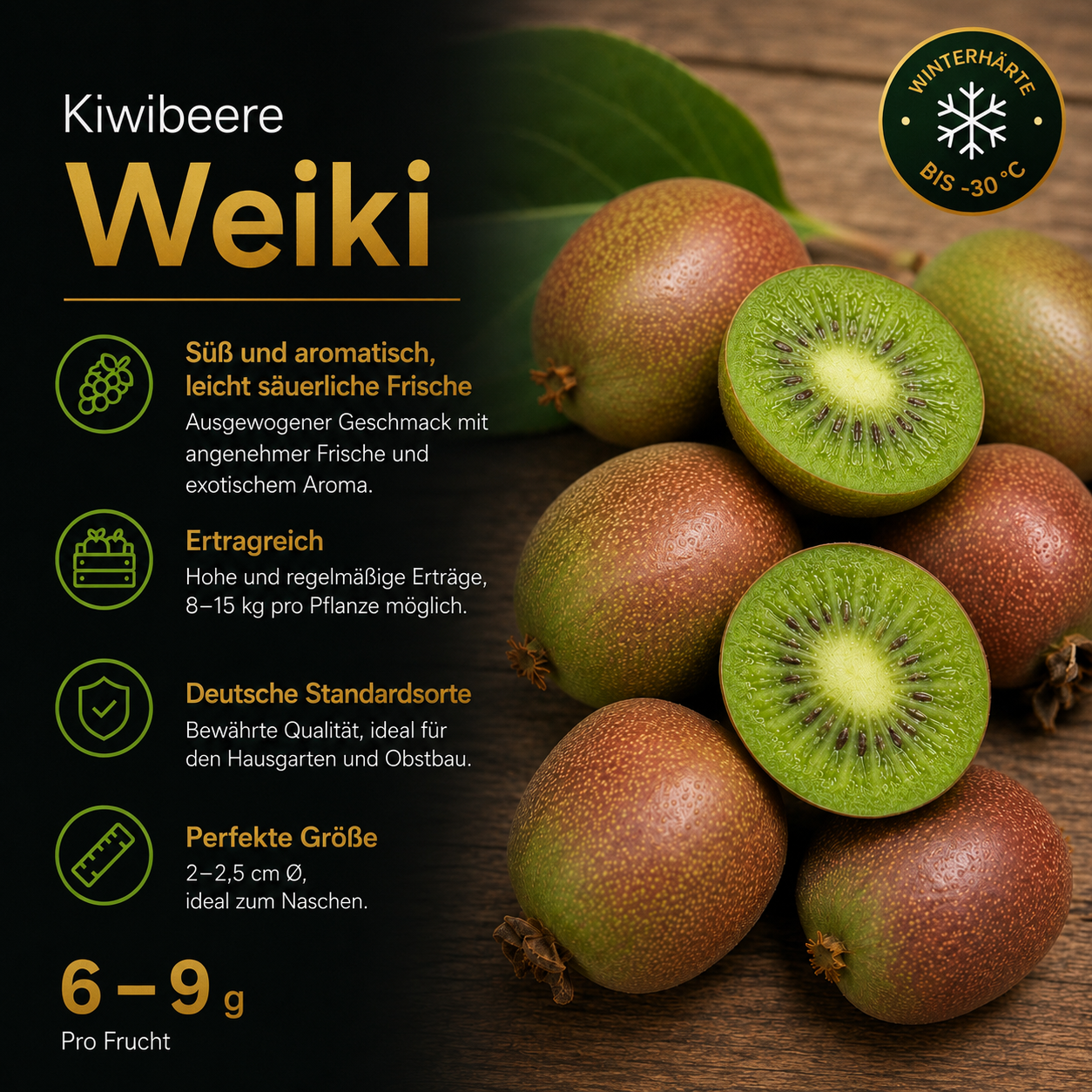 Kiwibeere 'Weiki'