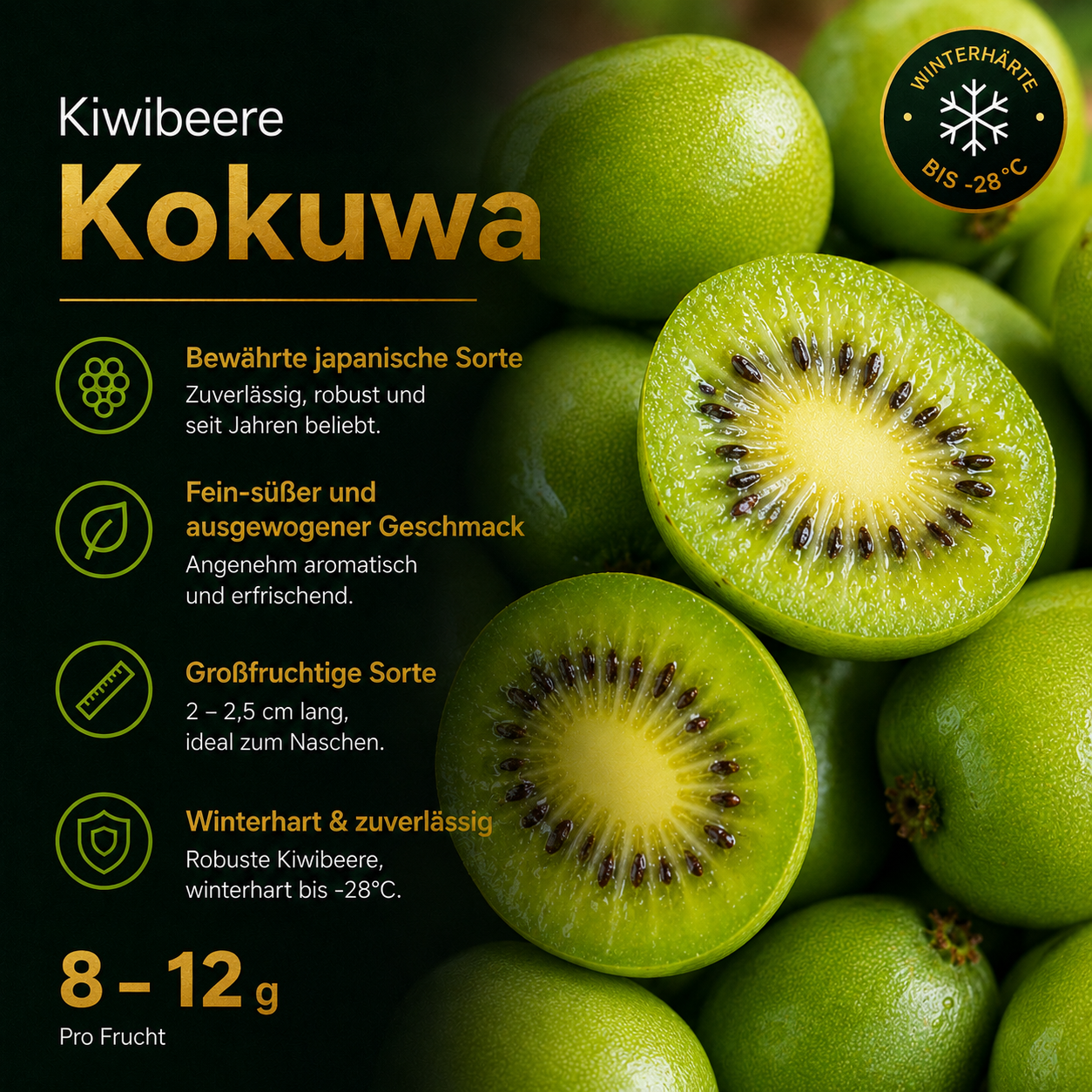 Kiwibeere 'Kokuwa'