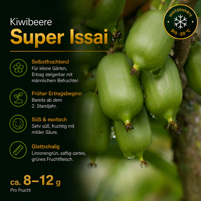 Kiwibeere 'Super Issai'