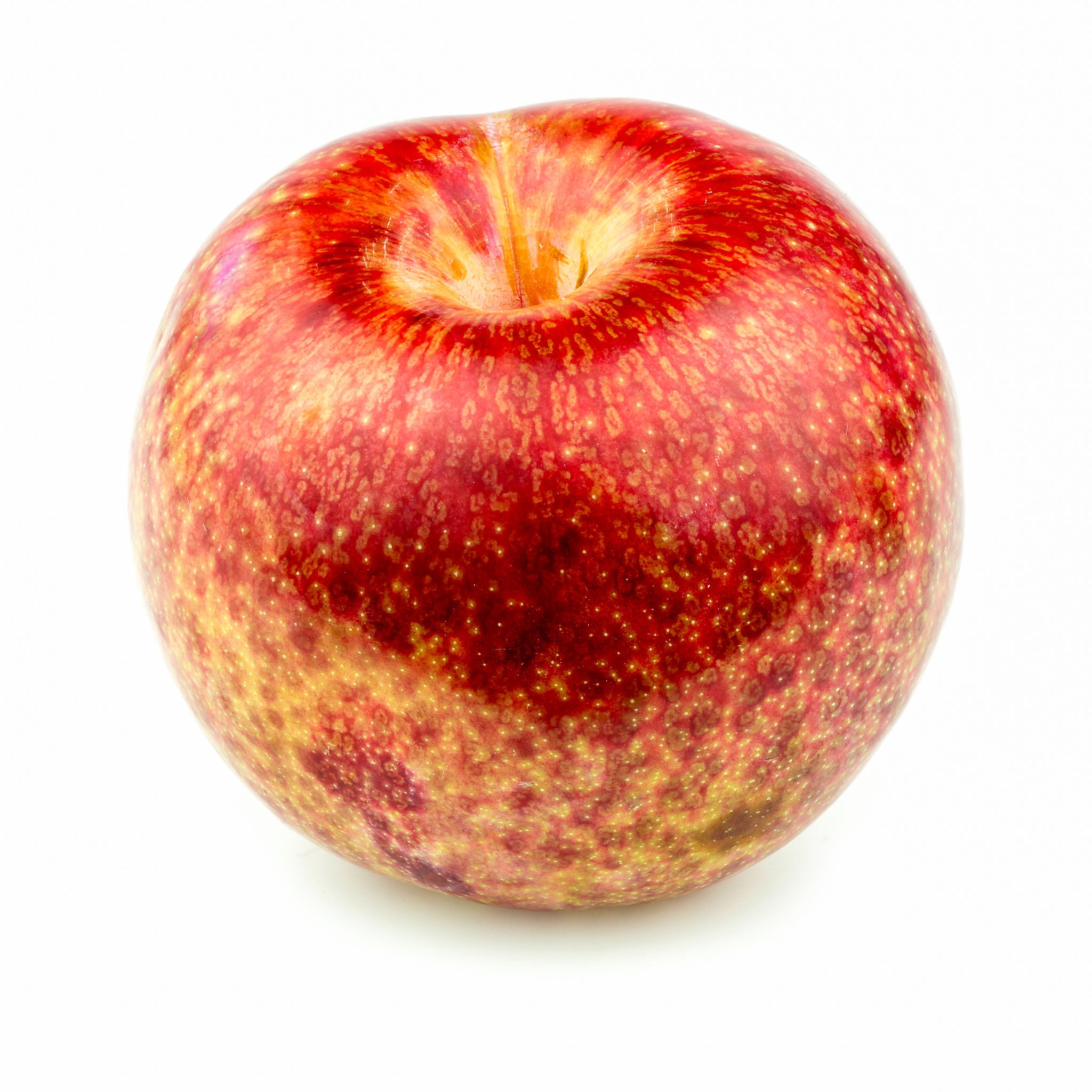 Aprikosen-Pflaume 'Dapple Dandy'