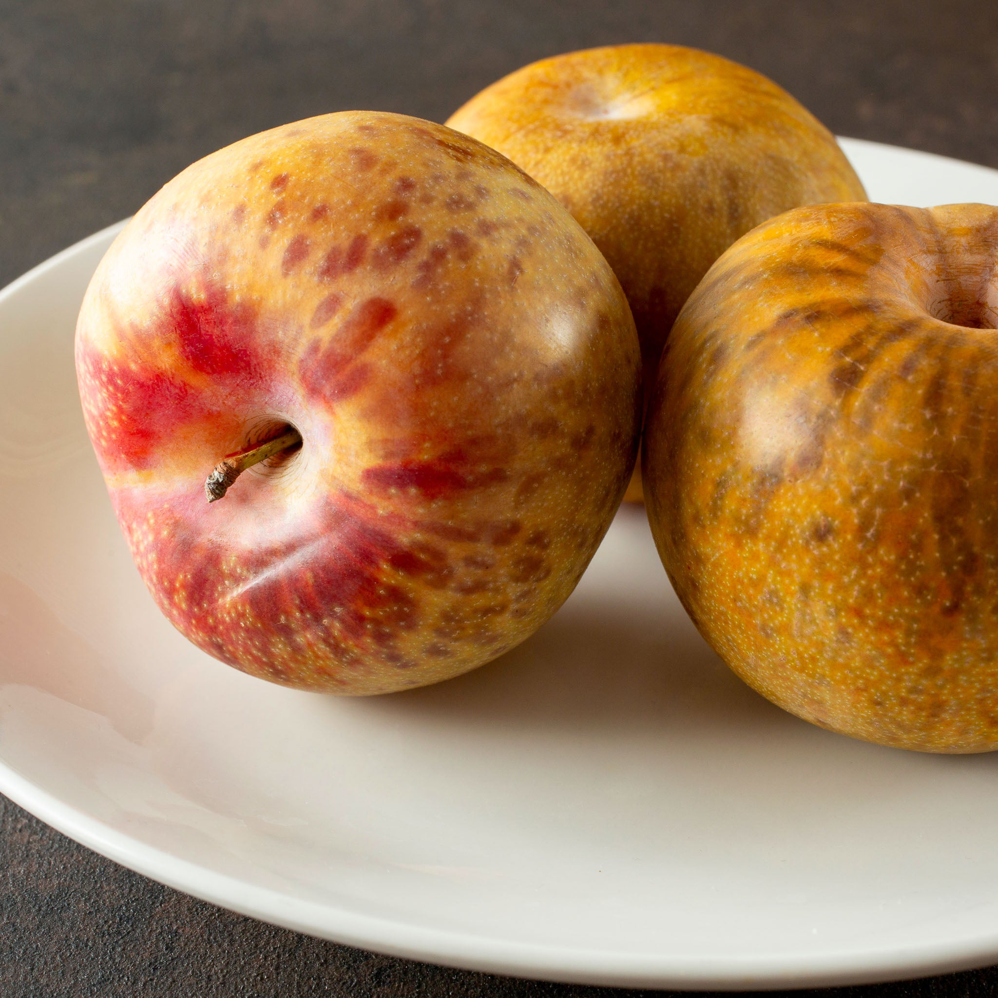 Aprikosen-Pflaume 'Dapple Dandy'