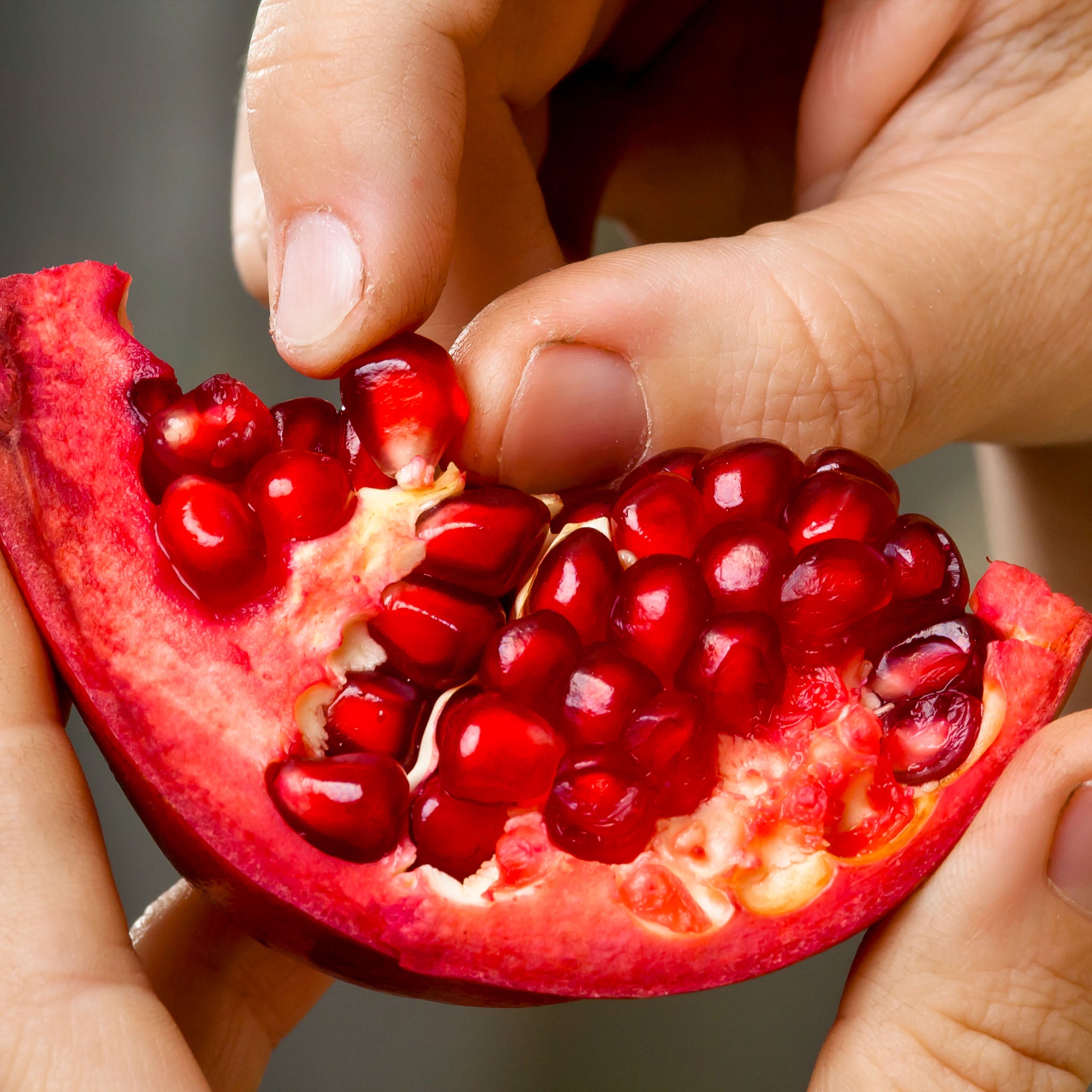 Granatapfel 'Acco'