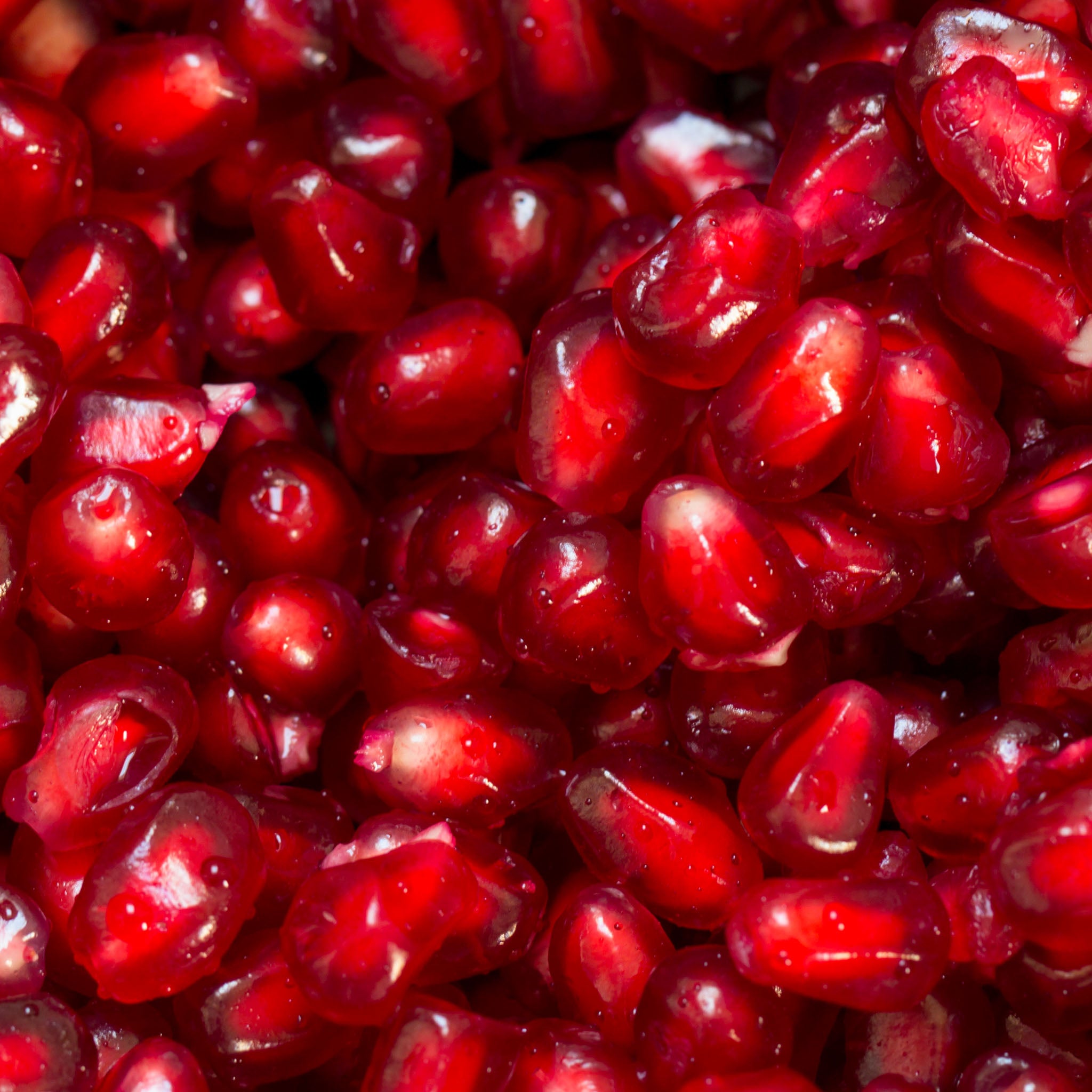 Granatapfel 'Kabylie'