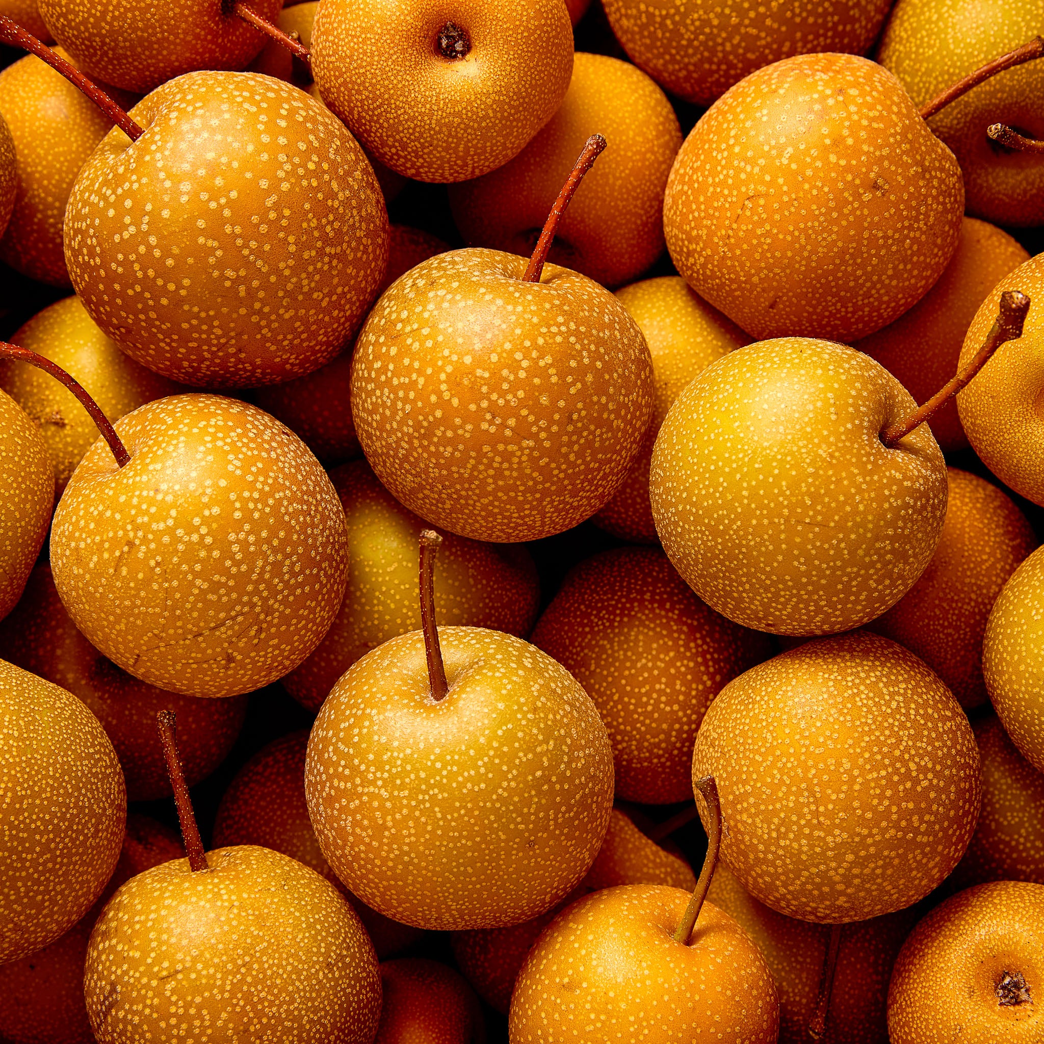 Nashi-Birne 'Hosui'