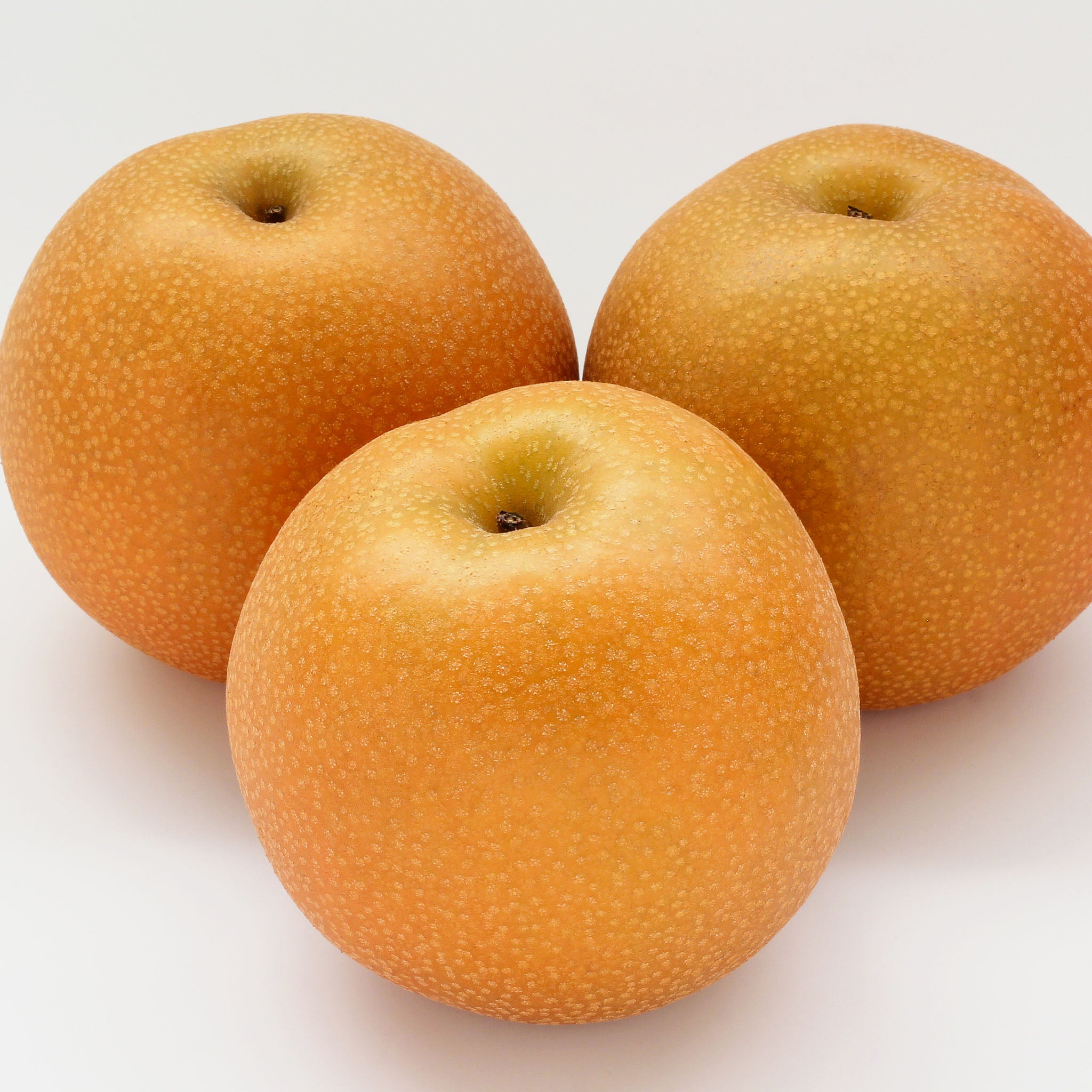 Nashi-Birne 'Hosui'