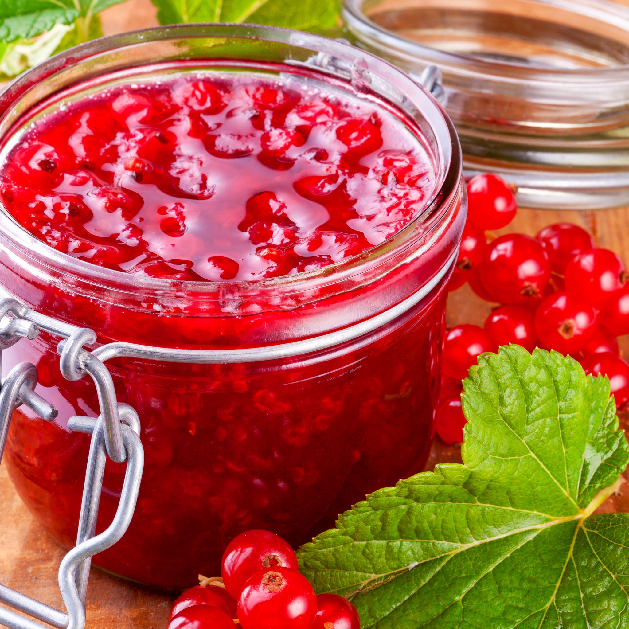 Rote Johannisbeere 'Rovada'