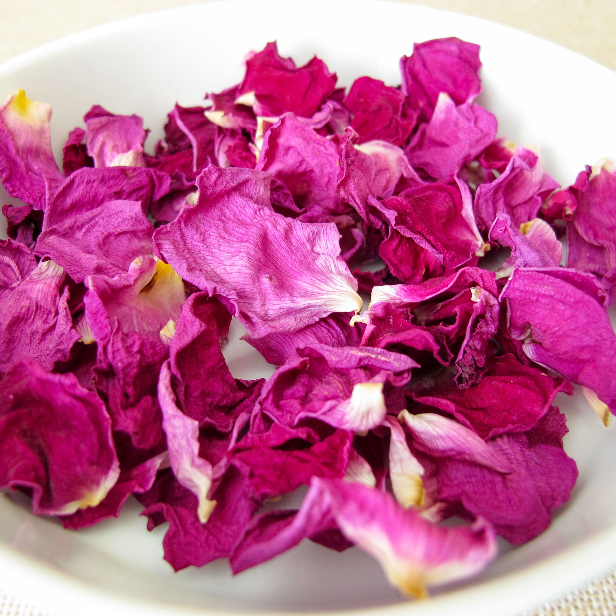 Apfel-Rose 'Rubra'