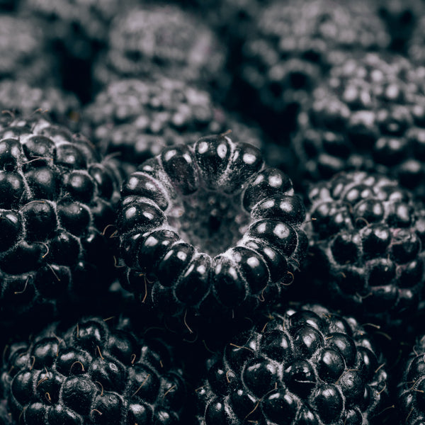 Schwarz · 'Black Jewel' — kräftig & herb-süß