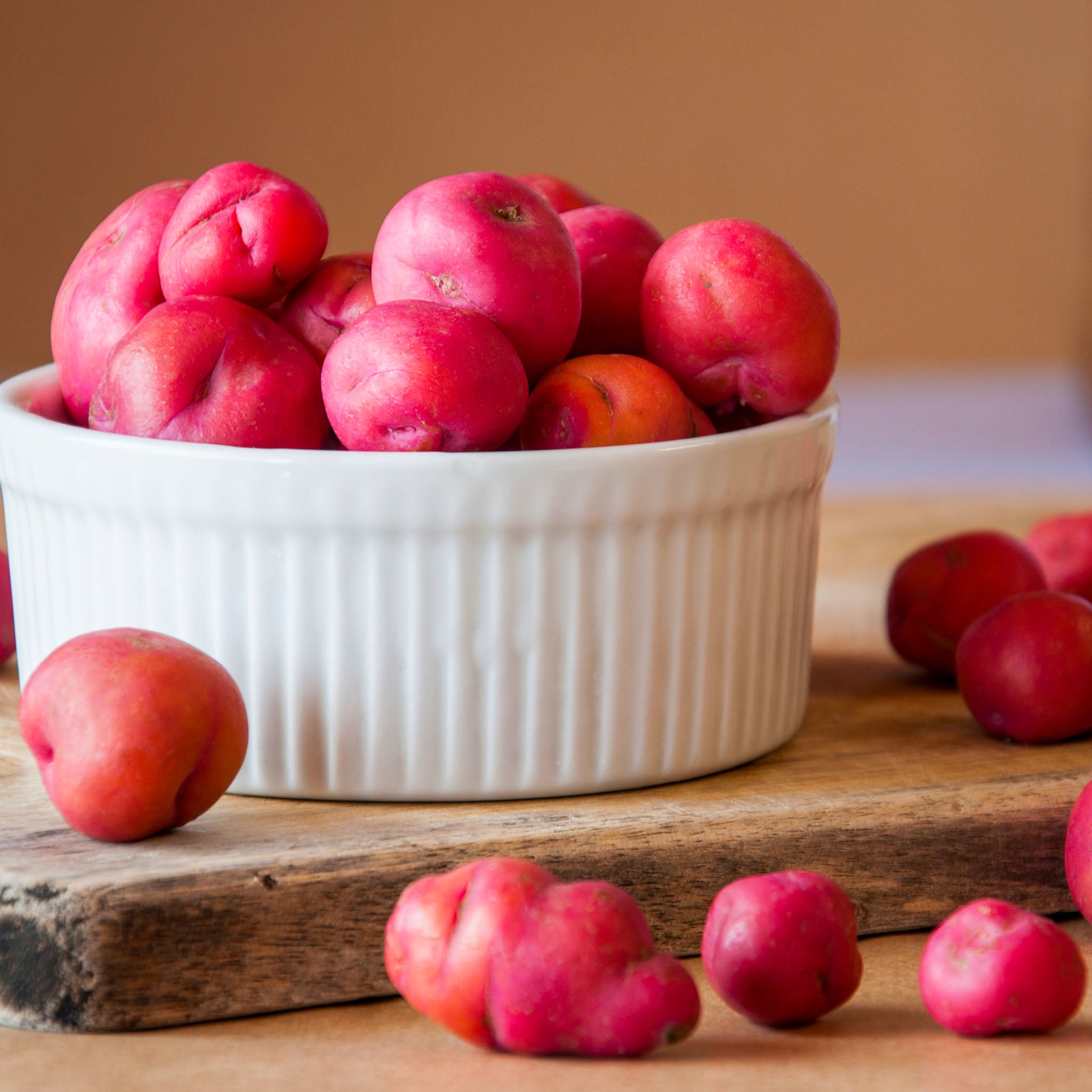 Olluco 'Rot'