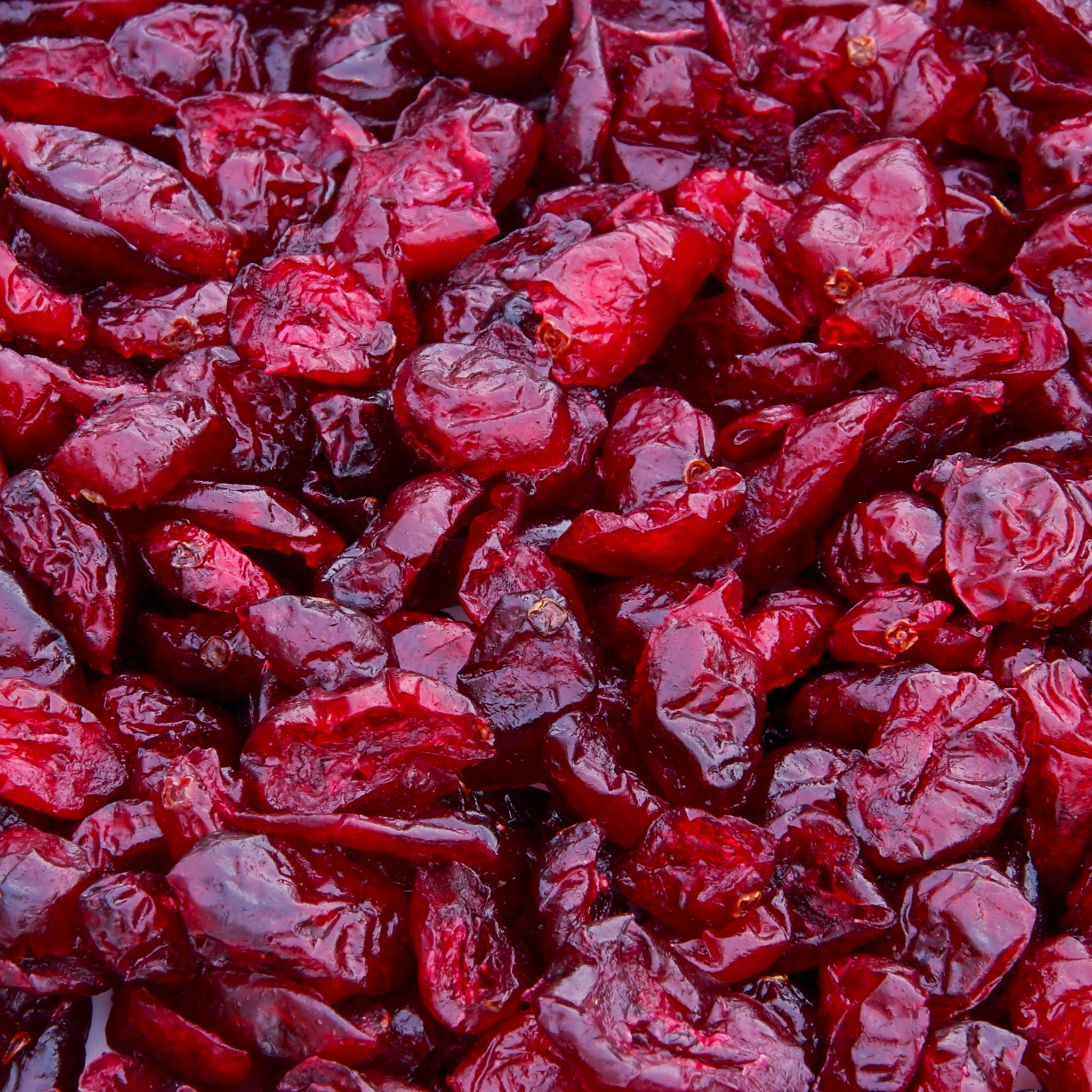 Cranberry 'Pilgrim'