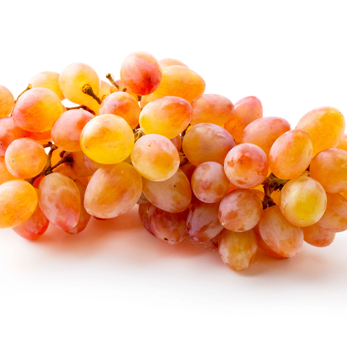Weinrebe 'Isabella Rot' (Erdbeertraube)